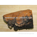 Chaga Extract for Sale